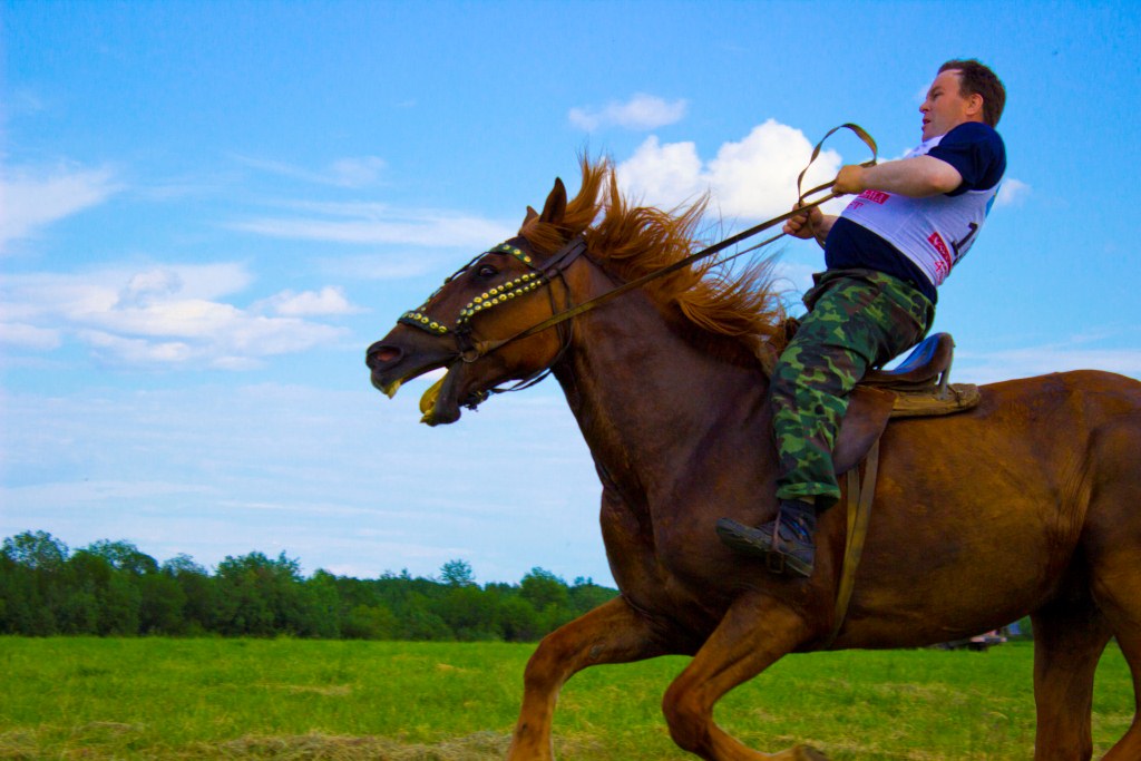 День верхового. Гонки на лошадях в Усть-Цильме. Конные соревнования в Усть Цильме. Мероприятия на лошадях дни рождения.